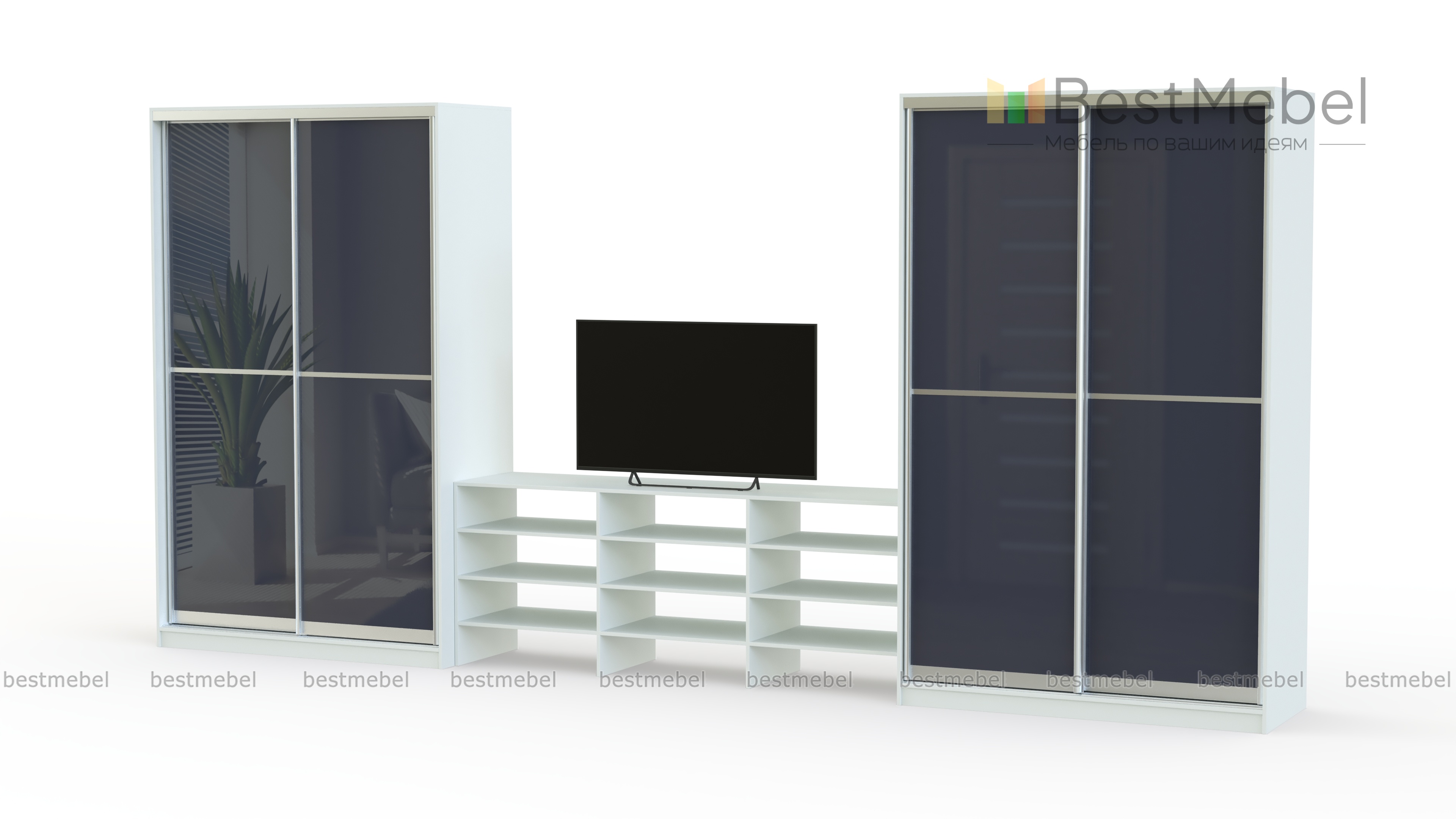 Шкаф купе TV-20 BMS