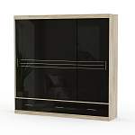 Шкаф-купе Amsterdam 250 BMS - Фото 1