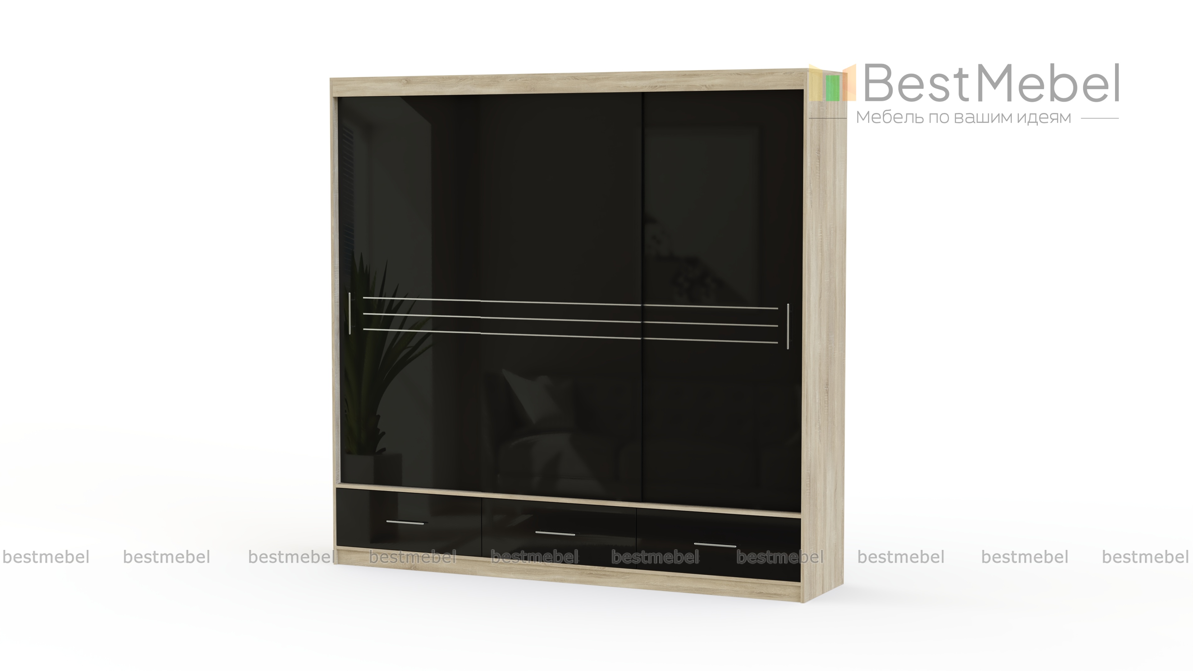 Шкаф-купе Amsterdam 250 BMS